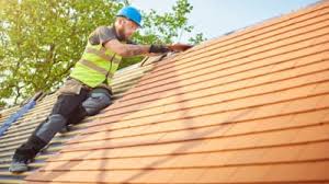 Best Roof Ventilation Installation  in Windermere, FL