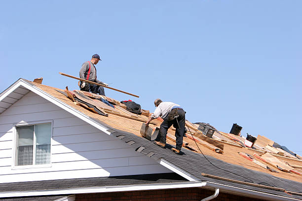 Best Gutter Replacement  in Windermere, FL